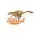Tielman Nieuwoudt Free State Cheetahs