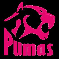 Junior Banda Pumas