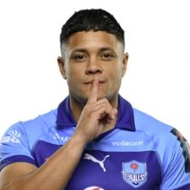 Devon Williams Bulls