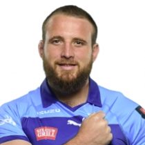 Gerhard Steenekamp Bulls