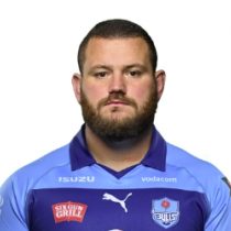 Wilco Louw Bulls