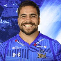 Daniel Perez Saitama Wild Knights