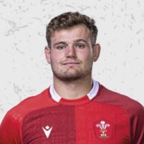 Taine Plumtree Wales