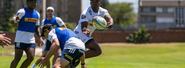 Maart on DHL Stormers debut in Limerick