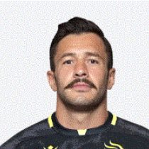 Lasha Tsikhistavi The Black Lion