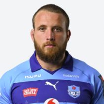 Gerhard Steenekamp Bulls