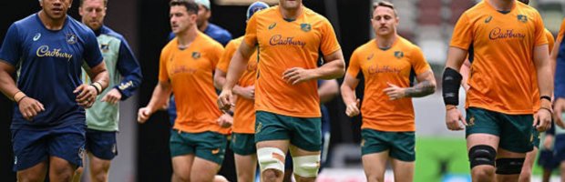 Article image - 2025-12-12T080530.331