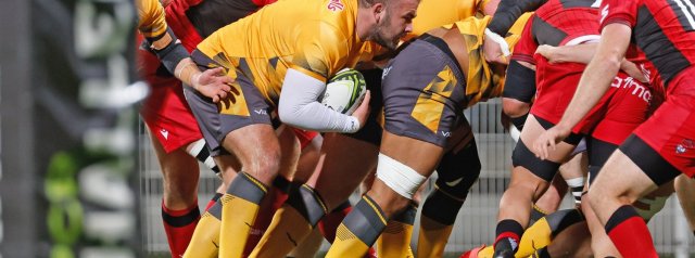 Newcastle Red Bulls team to face Lions