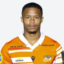 Michael Annies Cheetahs