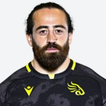 Zaur Lutidze The Black Lion