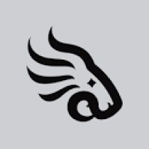 Tamaz Tchamiashvili The Black Lion