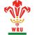 George Leyland Wales U20's