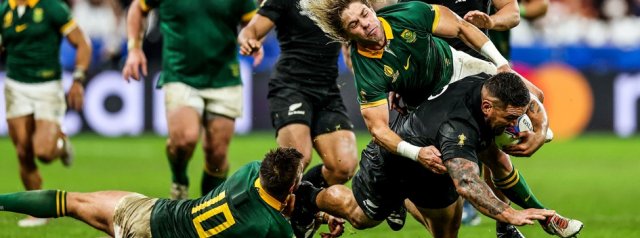 The Springbok RWC2027 Journey