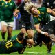 The Springbok RWC2027 Journey