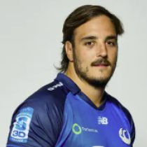Franco Molina Western Force