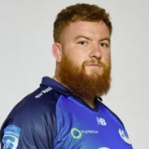 Harry Johnson-Holmes Western Force
