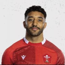 Gabriel Hamer-Webb Wales