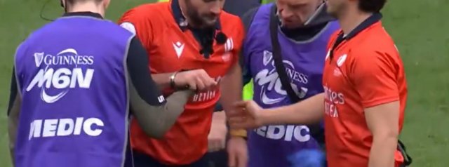 Watch Referee Andrea Piardi goes off injured