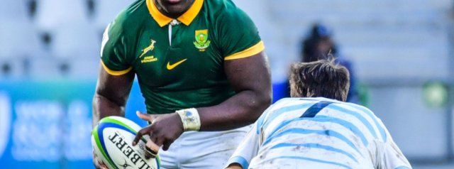 Rassie Erasmus casts net wide for first Bok alignment camp