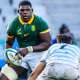 Rassie Erasmus casts net wide for first Bok alignment camp