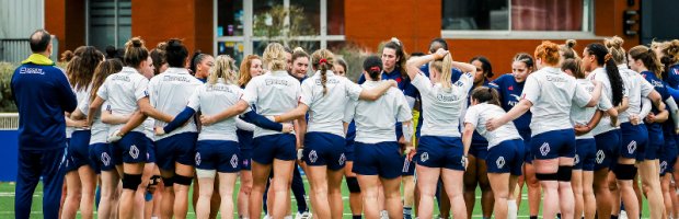 Screenshot 2026-03-20 124007