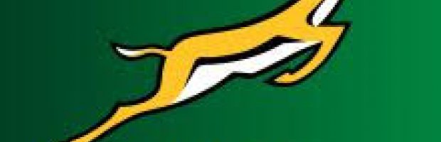 Springboks junior