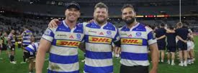 Reinach returns for DHL Stormers in Toulon