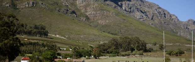 GLASGOW_WARRIORS_CPT_23_APR_26-72-scaled