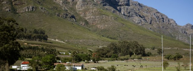 Burke to make first start as Steyn returns as captain - Glasgow Warriors