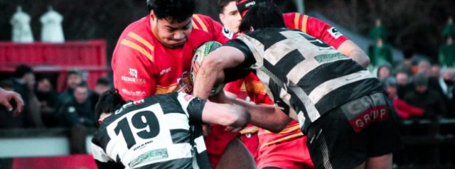 Samoan Prop, Paul Masoe signs with Knights