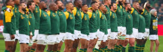 Springboks