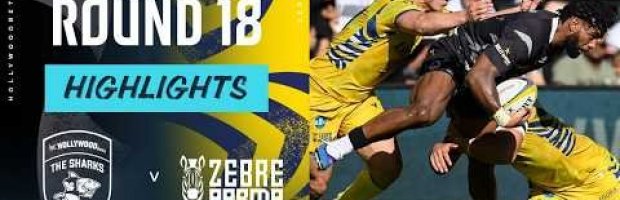 VIDEO HIGHLIGHTS: Sharks v Zebre Parma