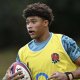 Steve Borthwick calls up Caluori and Janse van Rensburg for England