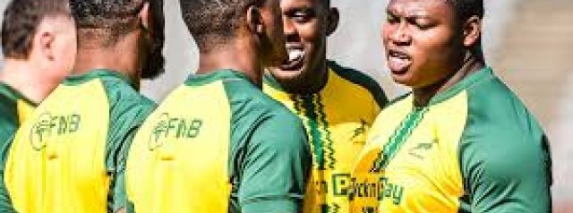 Erasmus pleased with foundation laid as Boks wrap up first camp week