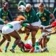 Springbok Women to host Ireland in Cape Town