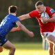 Seven Munster Departures Confirmed