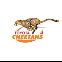 Henry Immelman Free State Cheetahs