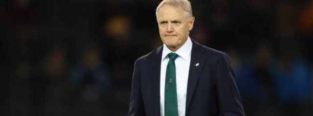 'No ambition': Schmidt rules out another national job
