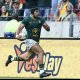 Edwill thriving in Rassie&rsquo;s team-first culture