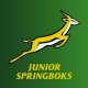 Junior Bok coaches share expertise in Georgia legacy seminar