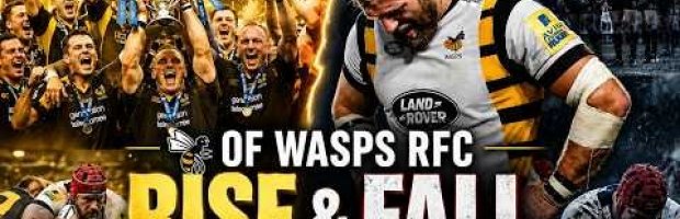 The Rise And Fall of Wasps RFC