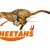 Juan Smal Free State Cheetahs