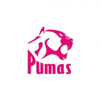 Troy Delport Pumas