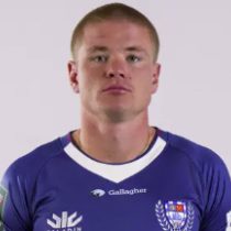 Anton Segner Auckland