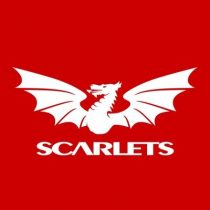 Gareth Anscombe Scarlets