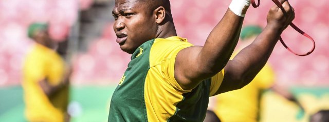 Rassie Erasmus gives an updated on injuries in the Springbok squad