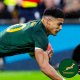Several Springbok stalwarts return to face Argentina