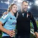 Michael Cheika appointed NSW Waratahs coach