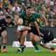 Springbok Centurions: The Players Who Have Reached 100 Test Caps