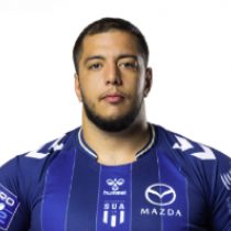Nail Audoire rugby player